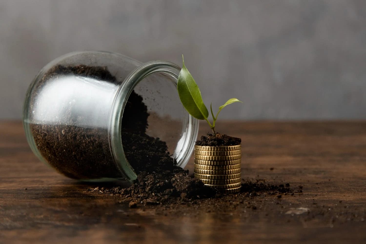 Amazonia Investing blog article